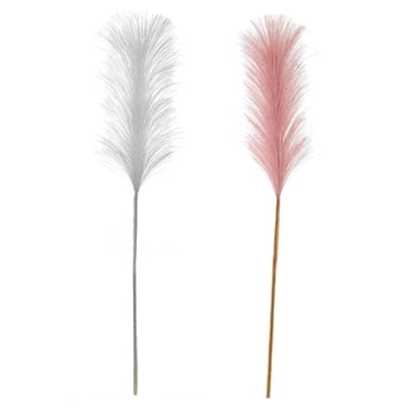 Danson Decor, 28'' Feather Spray, 2 Assorted Colors, 12 Units