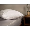 thumbnail image 1 of Paquet de 2 protège-oreillers Sleep Guard Queen, 1 of 3