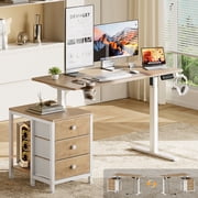 GUNAITO 47.2" Electric Standing Desk with 3-Drawer Cabinet, Adjustable Height Desk with Memory Panel, Office & Gaming Desk，Nutural
