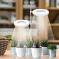 thumbnail image 4 of Petite Lampe pour Plantes d'Intérieur à Spectre Complet, Lampe LED pour Plantes, Mini Lampe de Bureau pour Plantes, Hauteur Réglable, Lampe pour Plantes avec Éclairage IPL et Lumière du Soleil sur Support de Lampe Simple et Double, 4 of 8