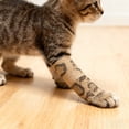 thumbnail image 3 of Self- Bandage Wrap for Pet and Sports Support Flexible Non-Woven Fabric, 3 of 3