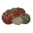 thumbnail image 1 of Binwennn Carpet Small Knit Throw Men Blankets And Throws Thanksgiving Pumpkin Rug 31"X20"Non Washable Welcome Door Mat Cute Fall Doormats For Indoor Outdoor Entrance Imitation Cashmeree, 1 of 6