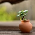 thumbnail image 4 of 2PCS Mini Flower Pots Clay Plant Pot for Wedding Decoration Craft, 4 of 9