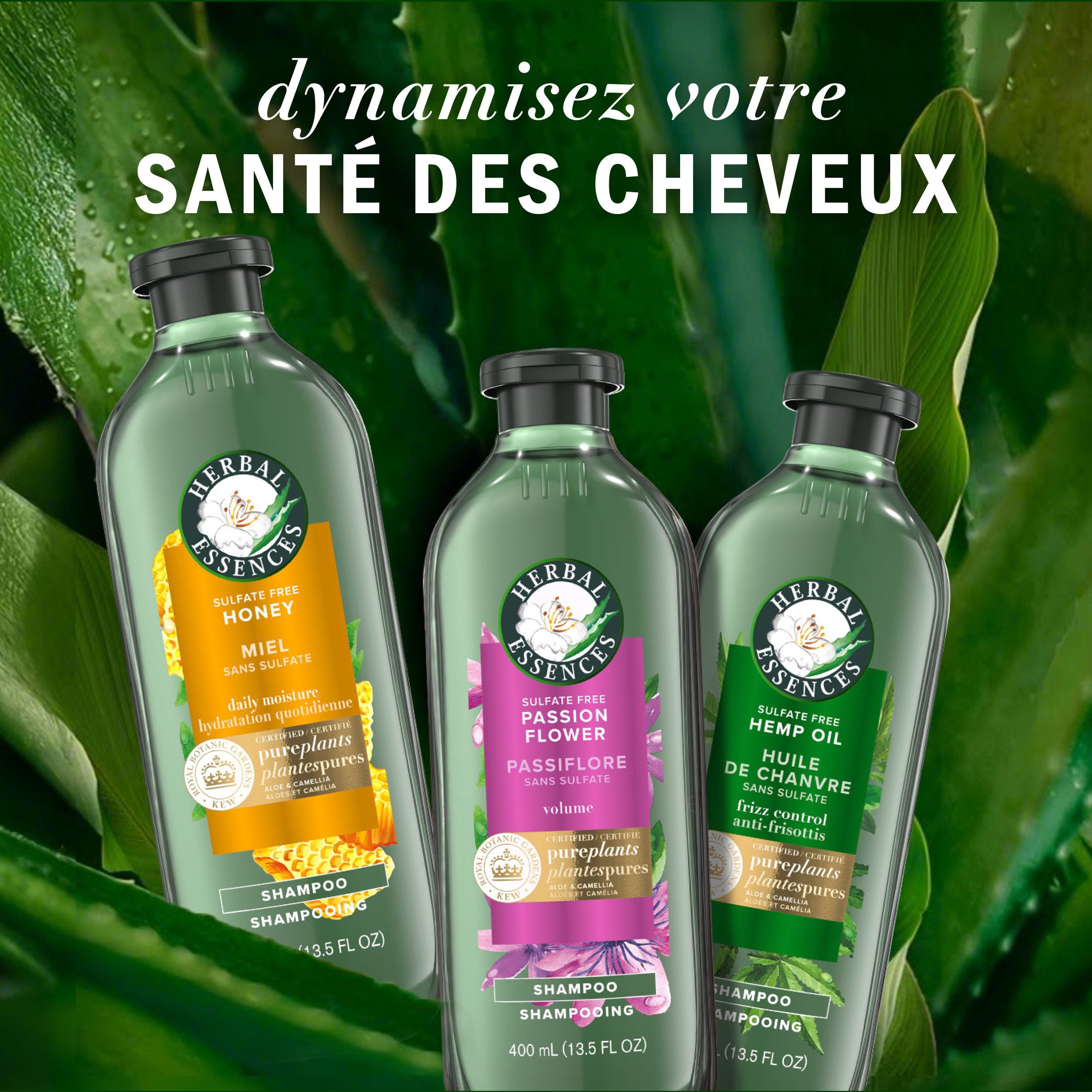 Shampooing sans sulfate Herbal Essences Abondants et épais à la passiflore, 400 mL