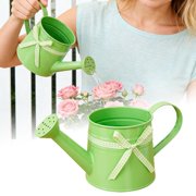 FEISHENTT Metal Watering Can for Gardening Indoor and Outdoor Use with Efficient Sprinkling Spout