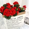 thumbnail image 1 of YAOMOBB Fade-proof Artificial Flowers Artificial Begonias Flowers Set of 2 with Stems Realistic Faux Red Flowers for Wedding Photo Props and Home Decoration, 1 of 7