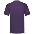 thumbnail image 2 of Fruit Of The Loom Mens Valueweight T-Shirt, 2 of 3
