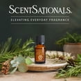 thumbnail image 2 of ScentSationals 100% Essential Oil - Easy Breathing, 2 of 8