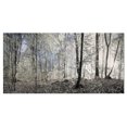 thumbnail image 2 of Design Art - Matin Sombre dans un Panorama de Forêt, 2 of 3