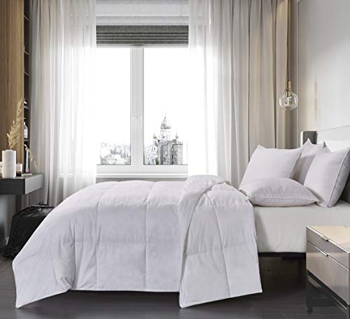 BlueRidge Home Fashion Olympia Twin in White Color Down Down Comforter,