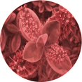 thumbnail image 1 of Ahgly Company Tapis d'Intérieur Lavables en Machine, Ronds, Rouges, Tomates Transitionnelles, Ronds de 4', 1 of 7