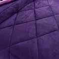 thumbnail image 2 of Jin Mai Lan Couvertures de Lit Réversibles Lavables en Polyester Unies Violettes, Très Grand Lit, Violet, 3 Pcs, 2 of 5
