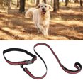 thumbnail image 4 of Collier d'Été pour Chien, Collier d'Automne Doux et Confortable Facile à Porter Antirouille Durable pour Chien Rouge, 4 of 8