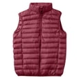 thumbnail image 1 of Fengqque Men's Packable Down Vest Outdoor Puffer Vest Winter Wine M, 1 of 7