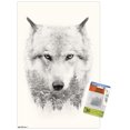 thumbnail image 1 of Wolf - Trees Wall Poster, 22.375" x 34", 1 of 4