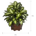 thumbnail image 2 of Golden Dieffenbachia Silk Plant, 2 of 5