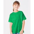 thumbnail image 1 of Hanes - T-Shirt Jeunesse Essential-T, 1 of 1