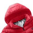 thumbnail image 4 of Outdoor Warm Clothing Heated For Riding Skiing Fishing Charging Via Heated Coat, 4 of 9