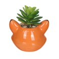 thumbnail image 4 of Plante succulente artificielle dans une jardinière renard, 4 of 4