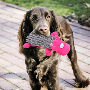 Dog Toy, Dog Bite Toy, Interactive For Dog Pet Dog Chew Toy Bite Toy