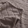 thumbnail image 2 of Coleman Certified Oversized Sherpa Blanket, 2 of 3