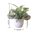 thumbnail image 2 of Artificial Potted Plant Leaf Simulation Leaves Home Office Desktop Greenery Decoration, 2 of 4