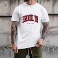 thumbnail image 3 of BOBOGOJP T-Shirt pour Homme Coupe Régulière à Manches Courtes, Henley à Rayures (Blanc,G), 3 of 4