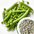 thumbnail image 2 of GSDWIUEW High-Yield Green Pea Seeds, 10 Count, , Heirloom, Easy Grow for Home Gardens, 2 of 3