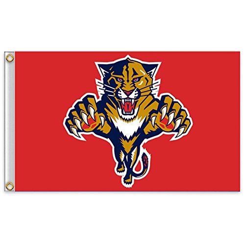 QIFEIHA Florida Panthers Flag 3x5 Feet Banner Flag
