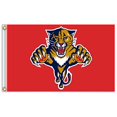thumbnail image 1 of QIFEIHA Florida Panthers Flag 3x5 Feet Banner Flag, 1 of 3