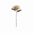 thumbnail image 2 of Lerman Decor's white hydrangea stem, 2 of 2