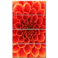 thumbnail image 2 of Orange Abstract Floral Design - Floral Canvas Art Print, 2 of 3