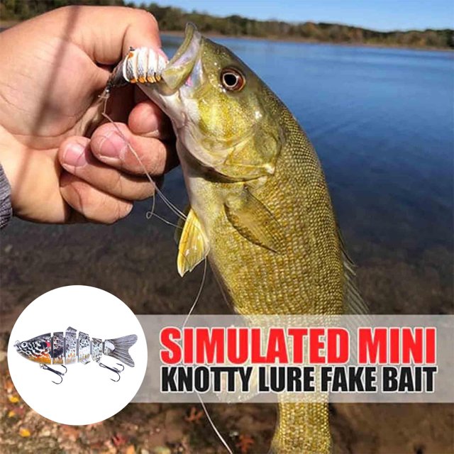 BKER Hameçon de Poisson 3D de Simulation Forme de Poisson Réaliste Fournitures de Pêche pour Lac Rivière pour Amateurs de Pêche Débutants