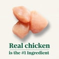 thumbnail image 2 of Nutro Natural Choice Large Breed Senior Dry Dog Food Chicken & Brown Rice Recipe 9.07kg, 2 of 9