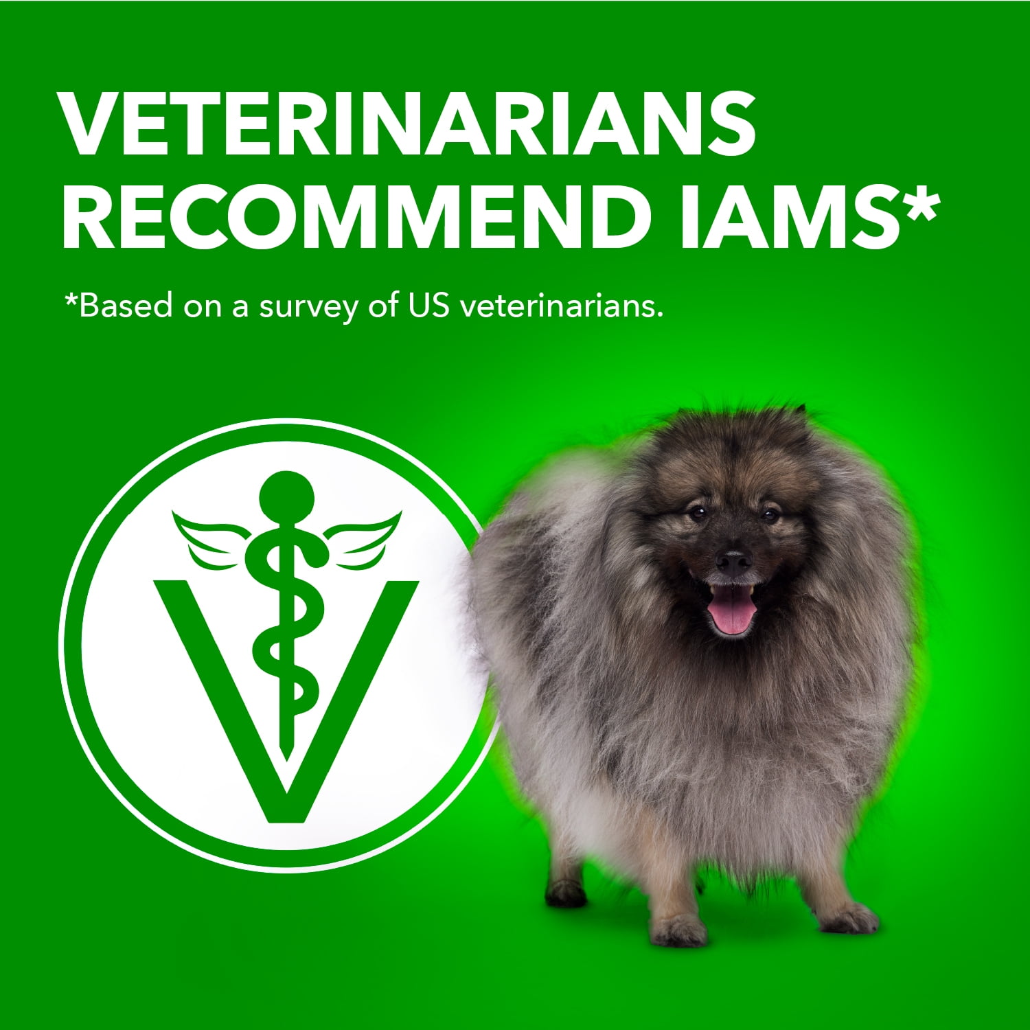 Iams Petites Races Recette au Poulet et Grains Entiers Nourriture Sèche pour Chien Adulte 4.99kg