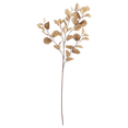 thumbnail image 1 of Bouclair Brown Artificial Eucalyptus Stem, 1 of 2