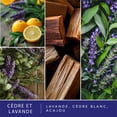thumbnail image 3 of ScentSationals Scented Wax Cubes - Cedar & Lavender, 3 of 5