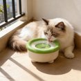 thumbnail image 4 of Dvkptbk water bowl Automatic Floating Water Bowl for Cats and Dogs Gentle on Pet Beard Foolproof To Clean Disclose Proof Suitable for Small To Medium Sized Pet, 4 of 6