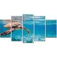 thumbnail image 1 of Design Art Large Hawksbill Sea Turtle Canvas Print, 1 of 3