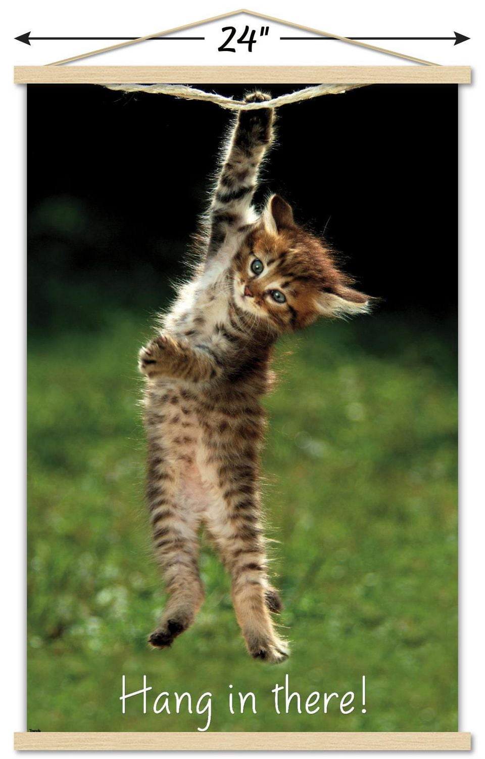 Famous Kitten Hang There Poster Wall Poster