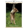 thumbnail image 3 of Célèbre chaton accroché là-bas Poster, 3 of 5