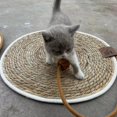 thumbnail image 3 of GROWTH TANK Cat Scratch Mat Furniture Protector with Ball Sleeping Scratching Resistant Wear Light Brown, 3 of 9