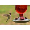 thumbnail image 2 of Perky-Pet Red Antique Bottle Hummingbird Feeder, 2 of 7