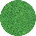 thumbnail image 1 of Ahgly Company Tapis de Zone Rond Vert Transitionnel pour Intérieur Lavable à la Machine, 3 Pieds Rond, 1 of 7