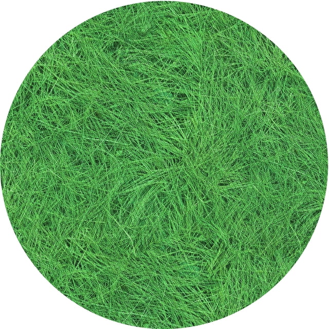 Ahgly Company Tapis de Zone Rond Vert Transitionnel pour Intérieur Lavable à la Machine, 3 Pieds Rond