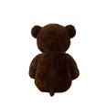 thumbnail image 4 of PLUSH BROWN BEAR, 4 of 5