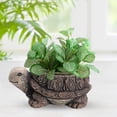 thumbnail image 1 of Pot de Jardinière Animal Collection d'Art pour Cour Étagère Tortue, 1 of 8