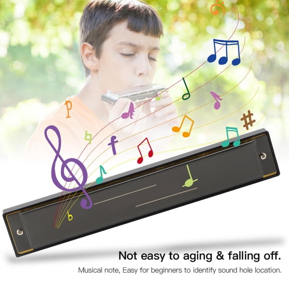 Khall Harmonica à 10 Trous Blues C Touche Vent Instrument de Musique Débutant Pratique