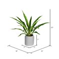 thumbnail image 2 of Vickerman Plante de Yucca en Pot de 23 Pouces - FU191223, 2 of 2