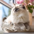 thumbnail image 3 of Cats Hair Storage Bottle Animals Hair Memorial Bottle Cats Furs Memorys Box Storage Box For Cats Hair Animals Lovers Transparent Cats Hair Glass Bottles, 3 of 4